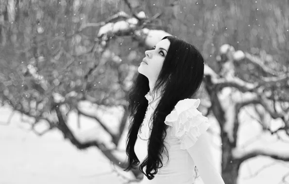 Picture winter, look, girl, snowflakes, beauty, Female and the snow