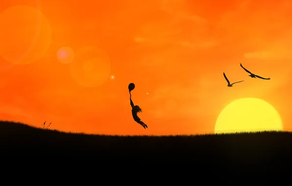 Picture girl, sunset, birds, lawn, ball, flight