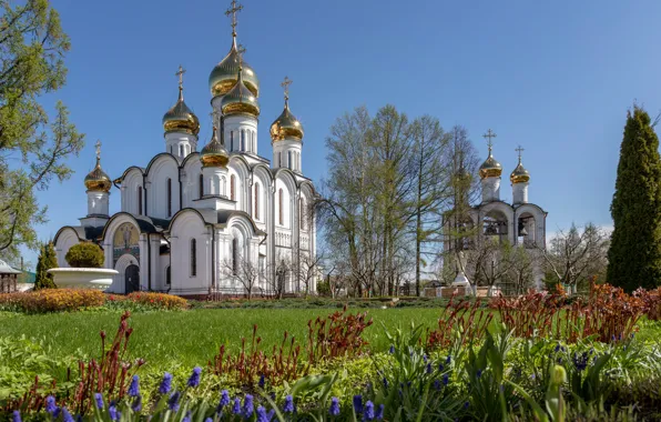 Flowers, temple, Russia, dome, the bell tower, St. Nicholas Cathedral, Pereslavl-Zalesskiy, Elena Guseva