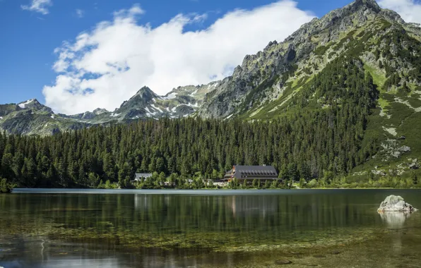 The sky, Mountains, Lake, Forest, House