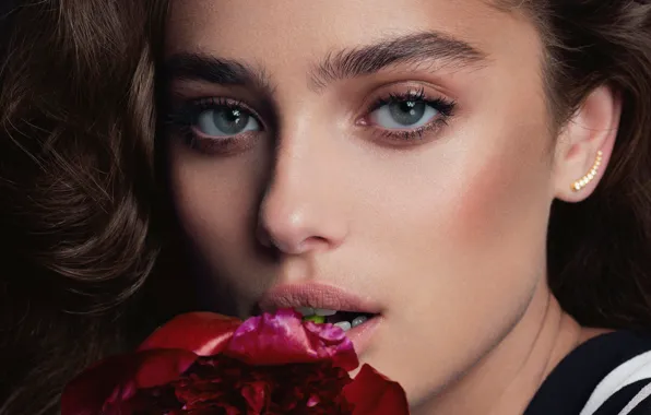 Picture look, girl, flowers, face, model, beautiful, Taylor Hill