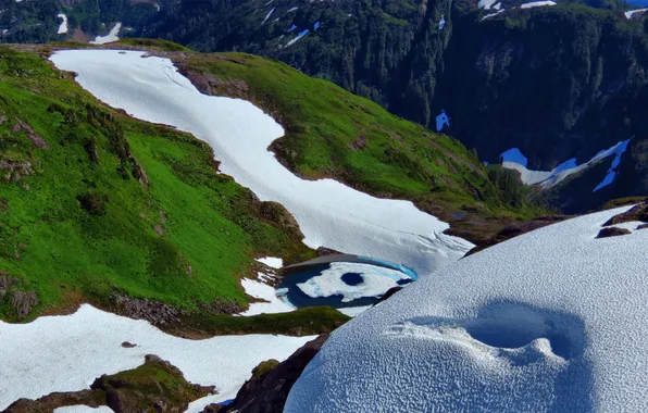 Picture ice, greens, snow, mountains, lake, mountain