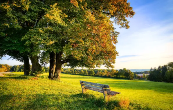 Picture field, autumn, the sky, grass, clouds, light, trees, bench