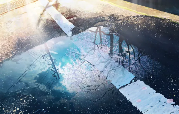 The sky, reflection, spring, Sakura, puddle