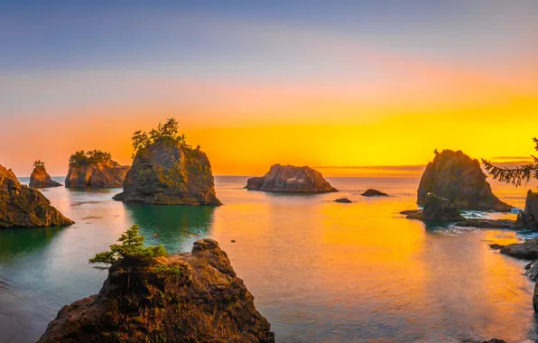 Sea, forest, sunset, rocks, shore, panorama