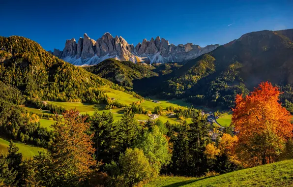 Autumn, forest, trees, mountains, hills, valley, Italy, Italy