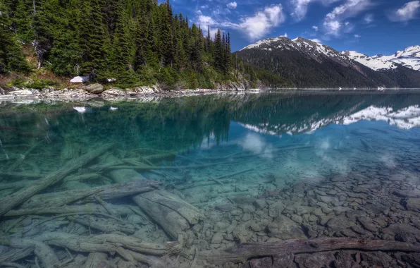 Forest, the sky, water, snow, trees, landscape, mountains, lake