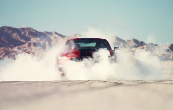 Picture smoke, Mustang, Ford, Shelby, GT500, bloody, 2019