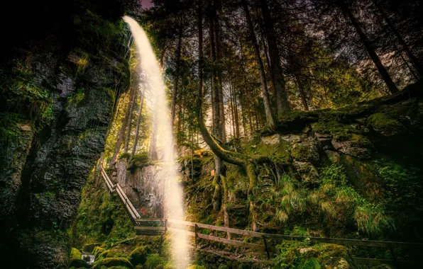 Picture greens, forest, trees, stones, rocks, waterfall, moss, Germany