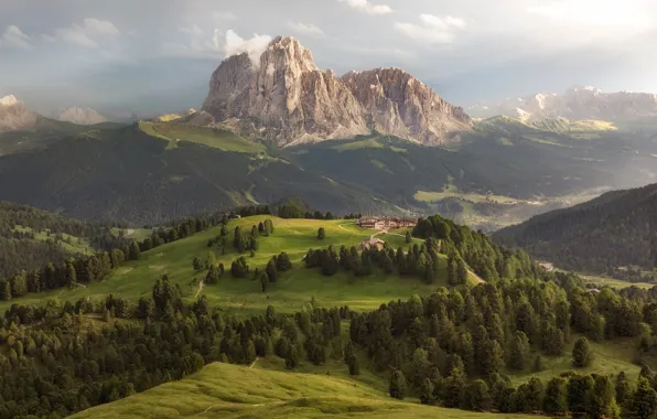Forest, trees, mountains, Alps