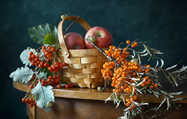 Leaves, branches, berries, table, apples, snail, bouquet, still life
