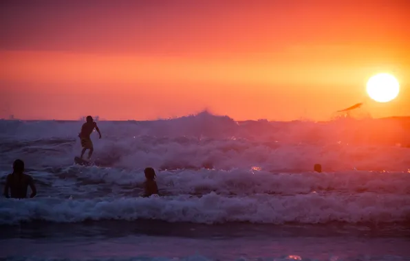 Summer, beach, ocean, sunset, water, surf, wave