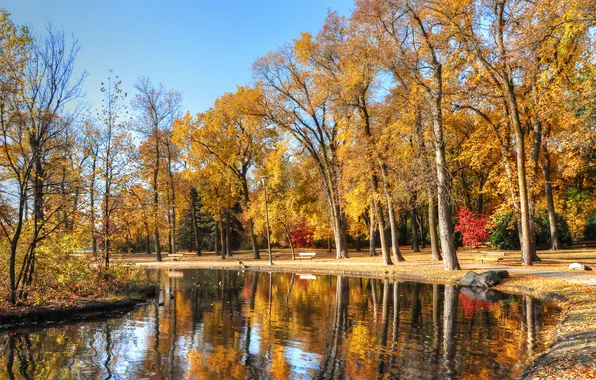 Picture autumn, the sky, trees, pond, Park, stone, bench