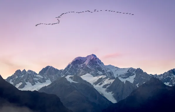 Picture the sky, mountains, bird, Geese Over Mt Tasman