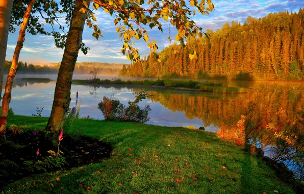 Autumn, trees, landscape, nature, fog, lake, Canada, birch