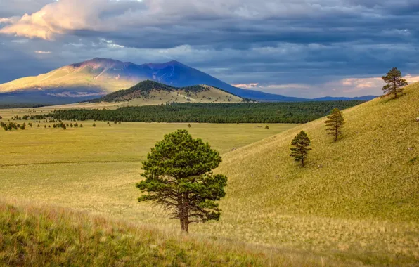 Picture the sky, clouds, trees, hills