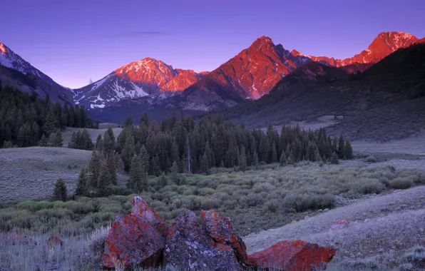 The sky, trees, sunset, mountains, stones, tops