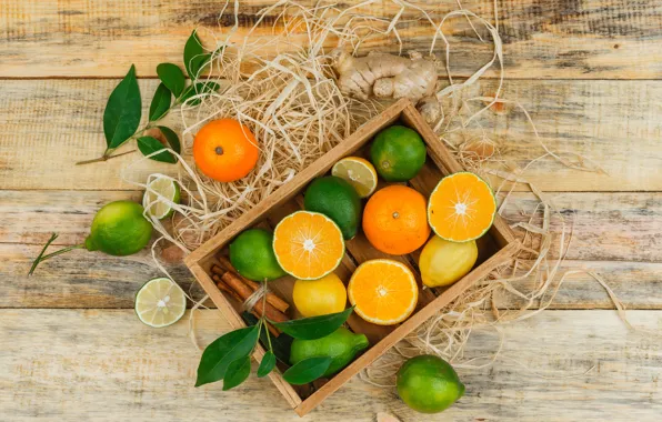 Board, oranges, lime, citrus, different, lemons, cuts