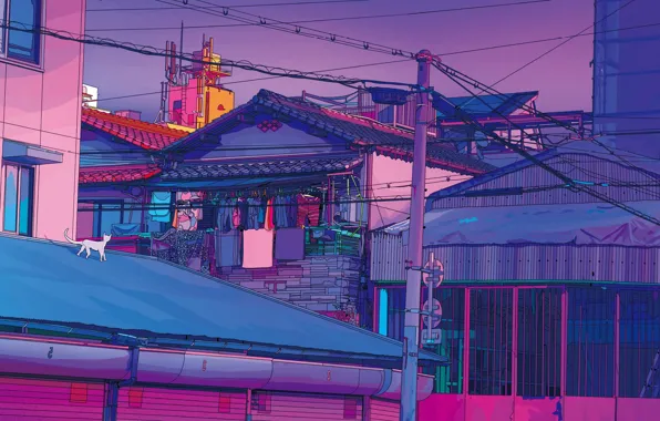 Cat, sunset, the city, street, wire, linen, the evening, roof
