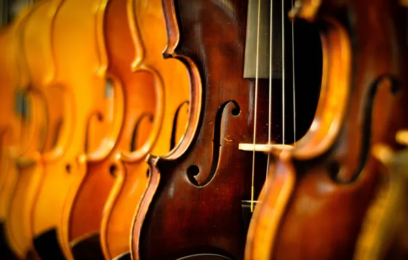 Macro, music, Violins