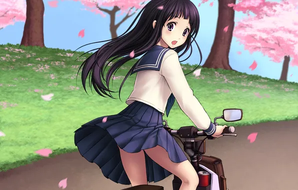 Look, girl, smile, Sakura, art, scooter, kiazee, hyouk