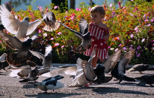 Birds, pigeons, girl