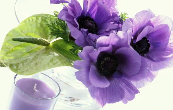 Candle, white background, purple flowers, transparent vase