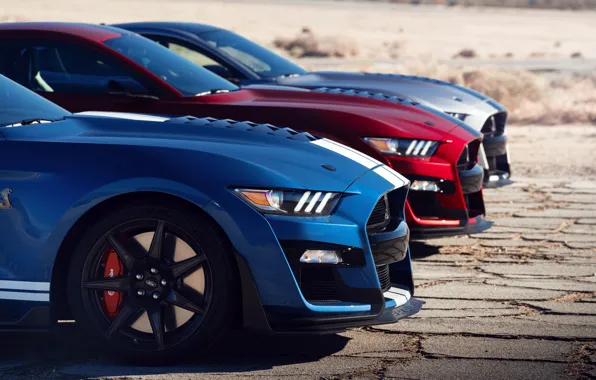 Machine, coupe, sports car, Ford Mustang Shelby GT500