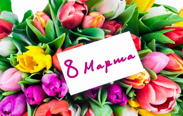 Picture bouquet, colorful, tulips, love, fresh, March 8, flowers, romantic