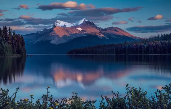 Forest, the sky, mountains, lake, reflection, rocks, shore, vegetation