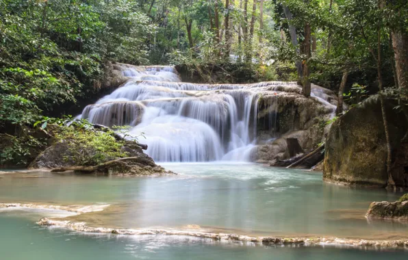 Forest, landscape, river, rocks, waterfall, summer, forest, tropical