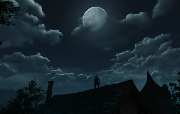 The moon, Night, Sword, Warrior, Armor, The Witcher, The Witcher, Geralt