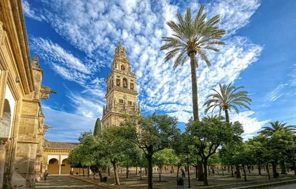Picture Mosque of Cordoba - The mosque of Cordoba, Mosque of Cordoba, The mosque of Cordoba