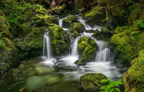 Stream, stones, waterfall, moss, Canada, river, Canada, British Columbia