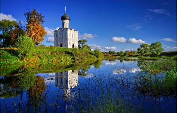 Picture grass, water, river, Church, temple, of the intercession on the Nerl, pokrova on the nerli