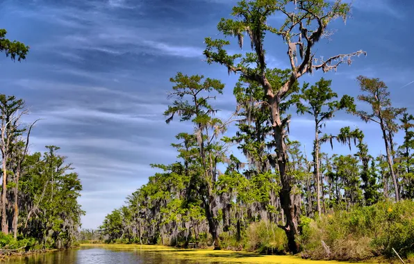 The sky, water, clouds, trees, river