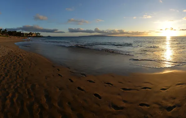Sea, beach, landscape, nature, coast, Hawaii, USA, Maui
