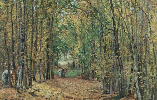 Picture trees, landscape, nature, picture, Camille Pissarro, Forest at Marly