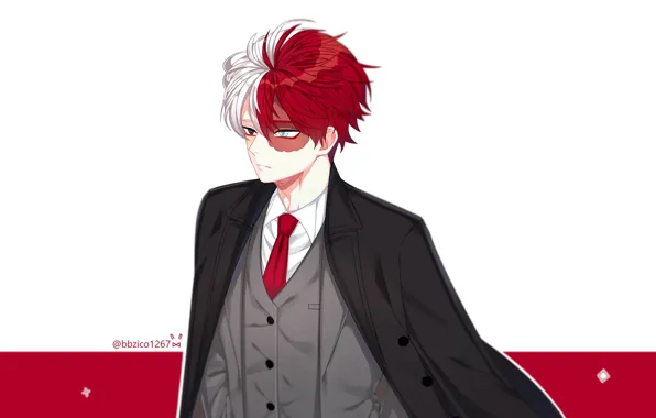 My Hero Academia, Boku No Hero Academy, Todoroki Shoto, My Hero Academy
