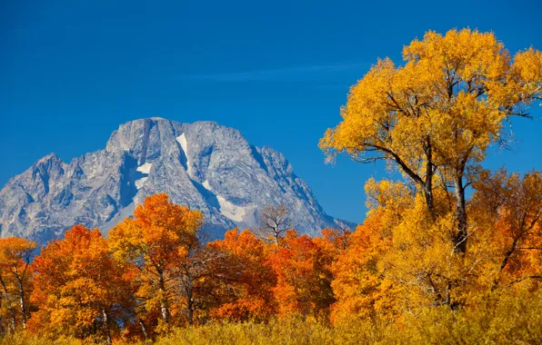 Picture autumn, the sky, leaves, trees, mountains