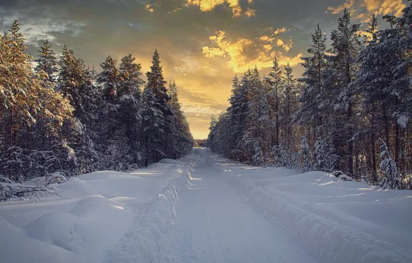 Picture winter, road, forest, snow, landscape, nature