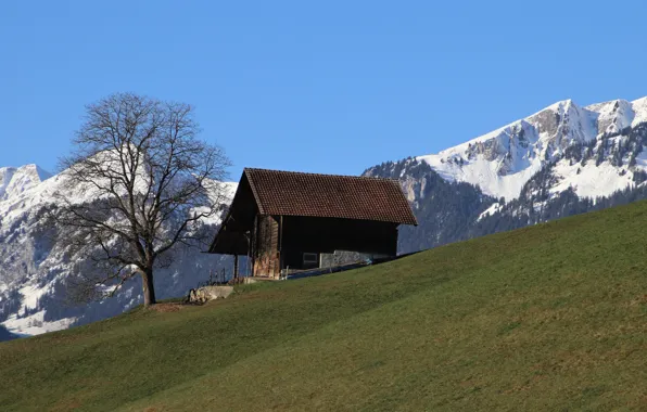 Picture mountains, tree, Switzerland, Alps, house