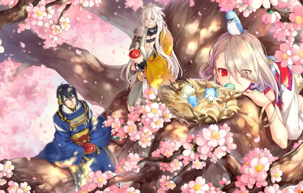 Tree, Sakura, socket, birds, guys, Chicks, samurai, Touken Ranbu