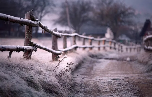 Picture frost, the fence, Winter, blur, path, fence