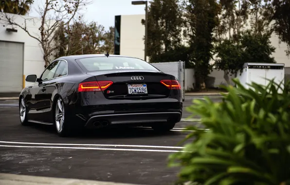 Audi, Audi, black, black, rear