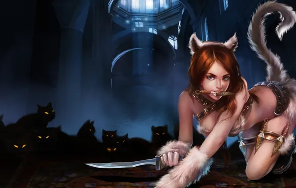 Picture cat, girl, knife, League of Legends, shank of, kinjal