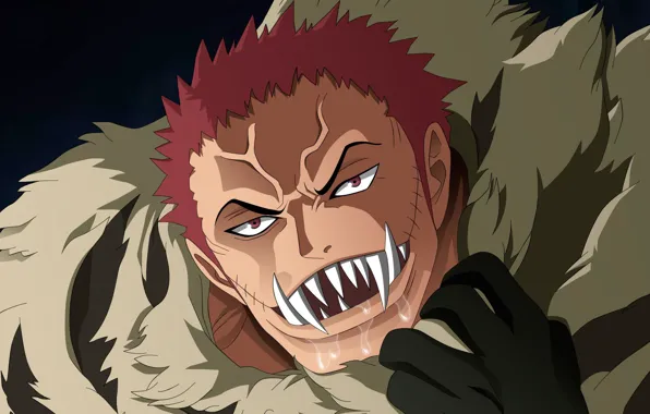 One Piece, pirate, power, fight, fang, evil, akuma from mi, kaizoku