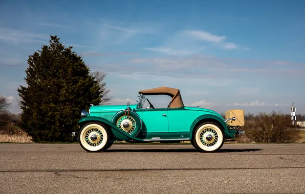 Roadster, 1931, retro cars, DeSoto, Chrysler Corporation, retro cars, DeSoto Model SA