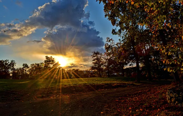 Picture road, the sky, the sun, clouds, rays, trees, sunset, the evening
