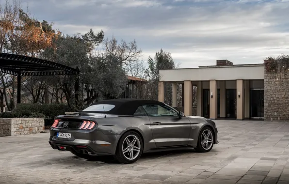 Ford, convertible, 2018, the soft top, dark gray, Mustang GT 5.0 Convertible